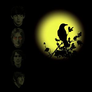 Blackbird Singing In The Dead Of Night